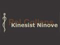 Kinesitherapeut Pol Callens 9400 NINOVE
