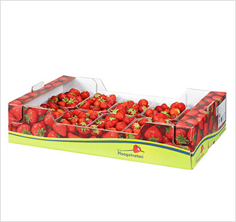 lc packaging belgium-sint-katelijne-waver