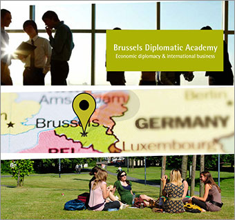 v.u.b. - brussels diplomatic academy-elsene