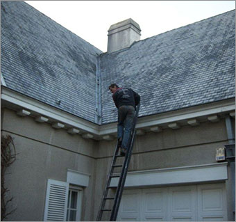 a.d. cleaning-bissegem