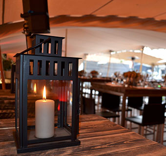 lapin quotidien-knokke-heist