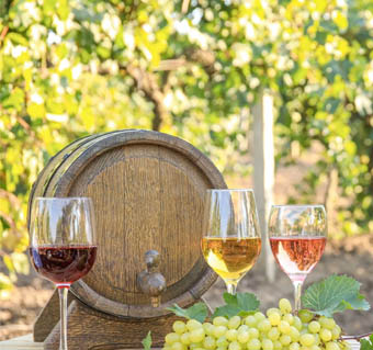giarra di vino-puurs